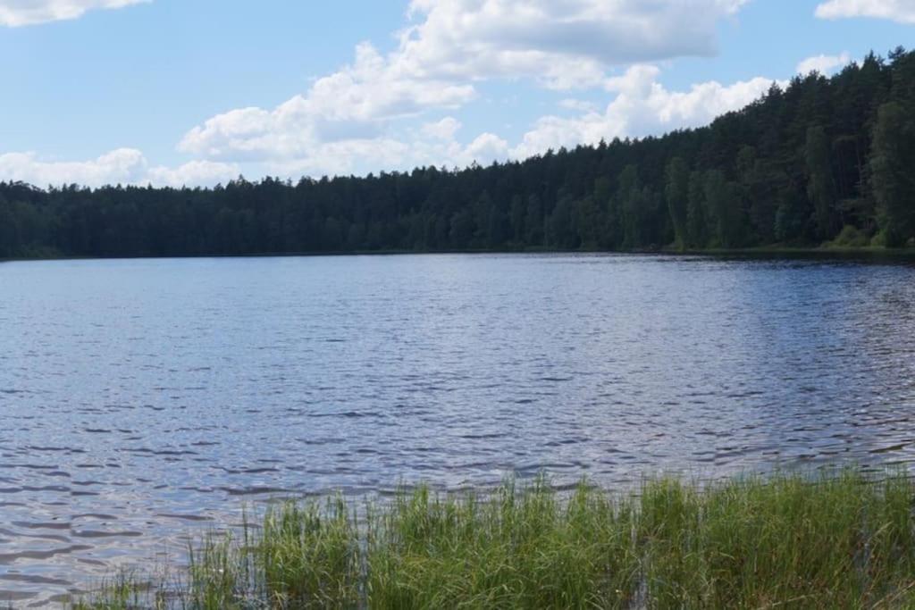 Domek Nad Jeziorem Kaszuby Max 6 Os Bieszkowice ภายนอก รูปภาพ